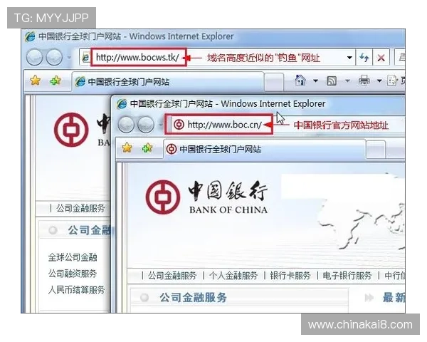 凯发体育的网址安全登录指南,帮助用户避免钓鱼网站,确保个人信息和资金安全